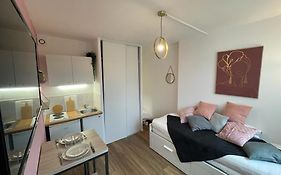 Rose, Studio Proche Centre Ville